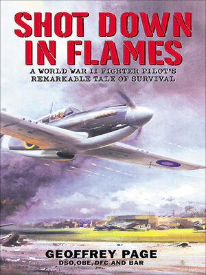 cover image of Shot Down in Flames